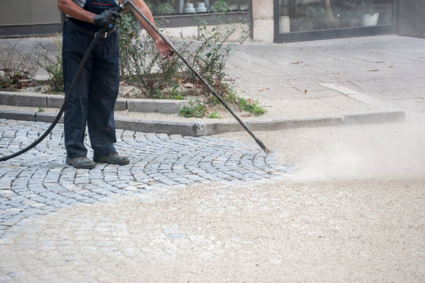Best Animal Enclosure Cleaning  in Sherman, TX